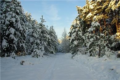 EA取代桑坦德银行成为西甲最大赞助商